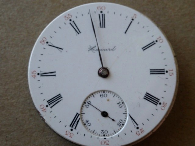 Howard Hunting Caliber | 16S 17J